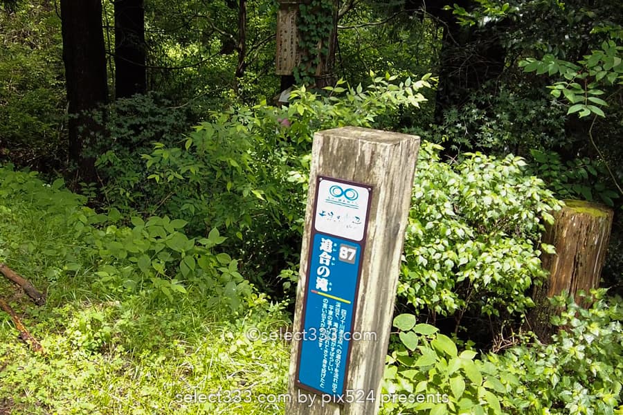 追合の滝：四万十川源流点付近にある歴史的に曰くある小さな滝！高知県の水辺風景