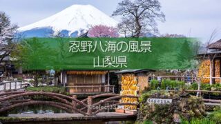 忍野八海と富士山の撮影!美しい湧泉群・富士山と古民家の景色!四季を問わない撮影地