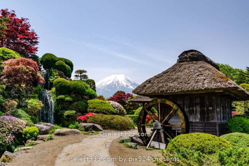 忍野八海と富士山の撮影！美しい湧泉群・富士山と古民家の景色！四季を問わない撮影地