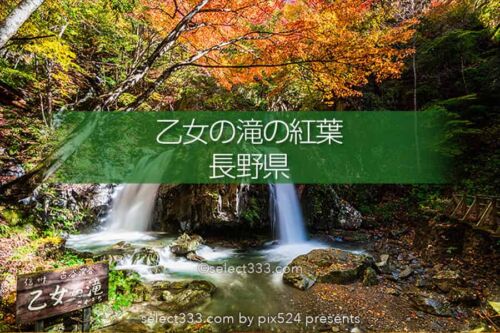 乙女の滝の紅葉撮影！佐久穂町古谷渓谷の滝と小川の紅葉風景！長野県の秋の景勝地