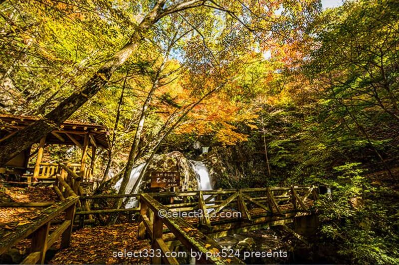 乙女の滝の紅葉撮影！佐久穂町古谷渓谷の滝と小川の紅葉風景！長野県の秋の景勝地