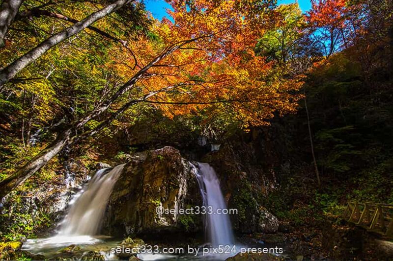 乙女の滝の紅葉撮影！佐久穂町古谷渓谷の滝と小川の紅葉風景！長野県の秋の景勝地