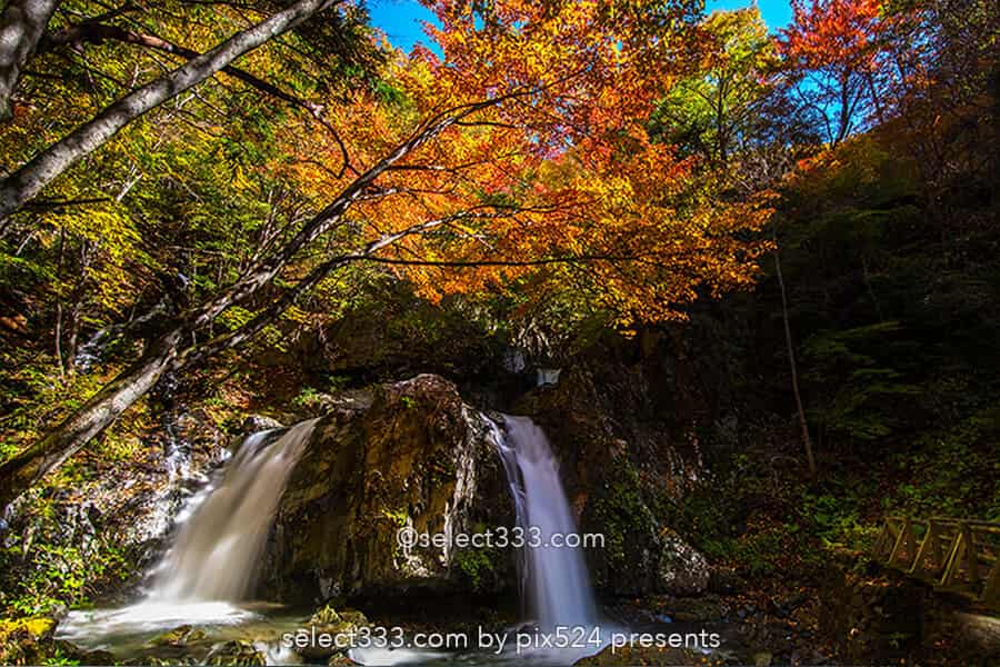 乙女の滝の紅葉撮影!佐久穂町古谷渓谷の滝と小川の紅葉風景!長野県の秋の景勝地