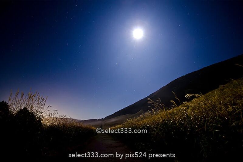 仙石原のススキ草原で中秋の名月を！月夜も美しい箱根の景勝地！ススキと月の撮影