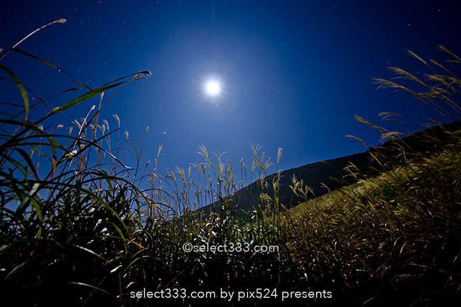 仙石原のススキ草原で中秋の名月を！月夜も美しい箱根の景勝地！ススキと月の撮影