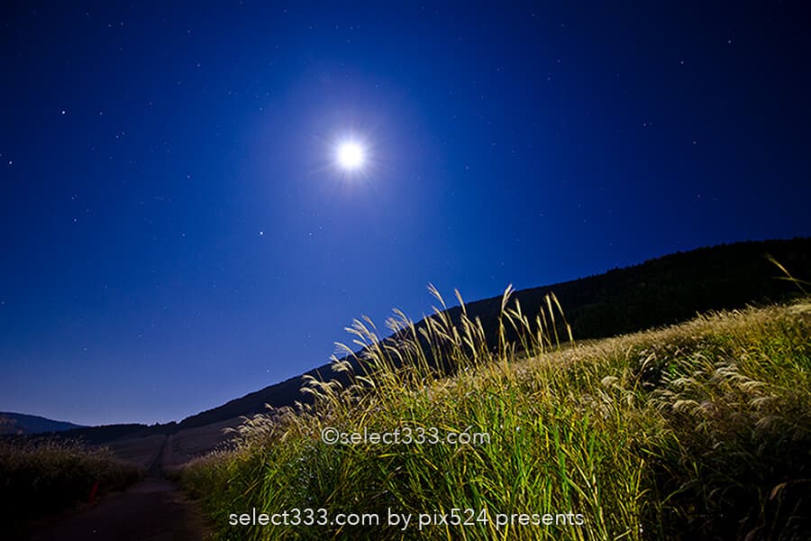 仙石原のススキ草原で中秋の名月を！月夜も美しい箱根の景勝地！ススキと月の撮影