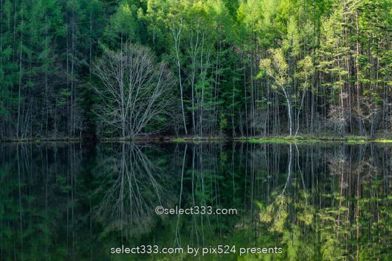 八ヶ岳・諏訪エリアを巡るドライブルート!長野県一泊撮影旅!高ボッチ高原と御射鹿池