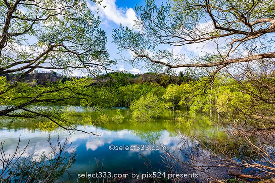 白川湖の水没林の撮影！白川ダム湖岸公園の一ヶ月間限定風景！飯豊町の幻想的なスポット
