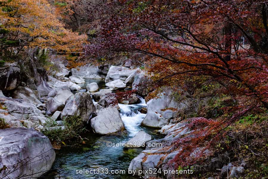 昇仙峡の奇岩と仙娥滝の撮影！紅葉の見頃に見る甲府の渓谷風景！秩父多摩甲斐国立公園
