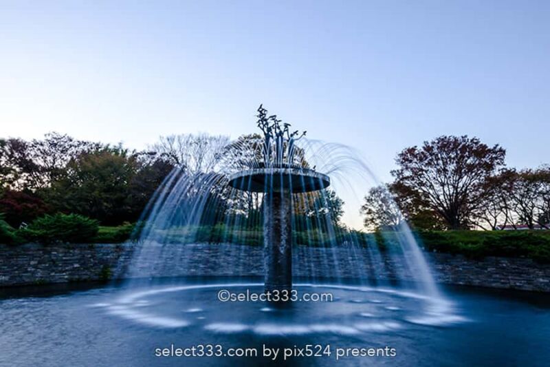 国営昭和記念公園の紅葉撮影!イチョウ並木と日本庭園の紅葉!都内最大の秋の風景