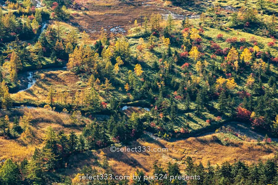 渋峠から見る芳ヶ平湿原の紅葉風景!日本国道最高地点からの景色!朝日・雲海・星空撮影