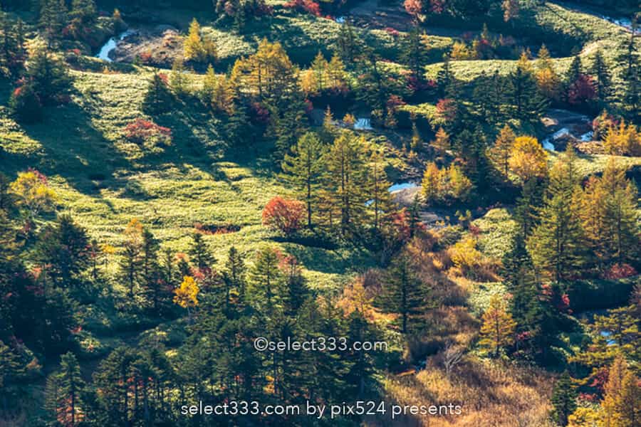 渋峠から見る芳ヶ平湿原の紅葉風景!日本国道最高地点からの景色!朝日・雲海・星空撮影