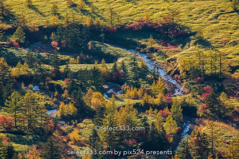 渋峠から見る芳ヶ平湿原の紅葉風景！日本国道最高地点からの景色！朝日・雲海・星空撮影