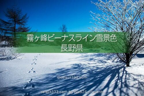霧ヶ峰ビーナスライン雪景色と雪原の撮影！冬の絶景ドライブ！霧ヶ峰の冬景色の被写体