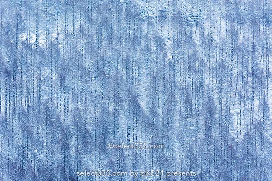 霧ヶ峰ビーナスライン雪景色と雪原の撮影！冬の絶景ドライブ！霧ヶ峰の冬景色の被写体