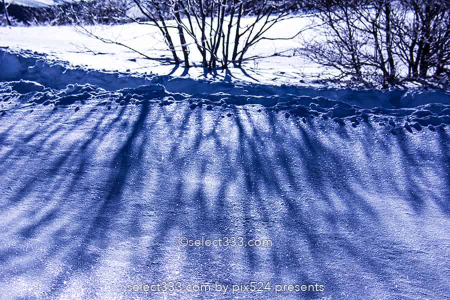 霧ヶ峰ビーナスライン雪景色と雪原の撮影！冬の絶景ドライブ！霧ヶ峰の冬景色の被写体