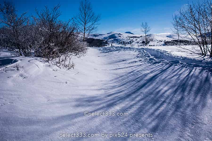 霧ヶ峰ビーナスライン雪景色と雪原の撮影！冬の絶景ドライブ！霧ヶ峰の冬景色の被写体
