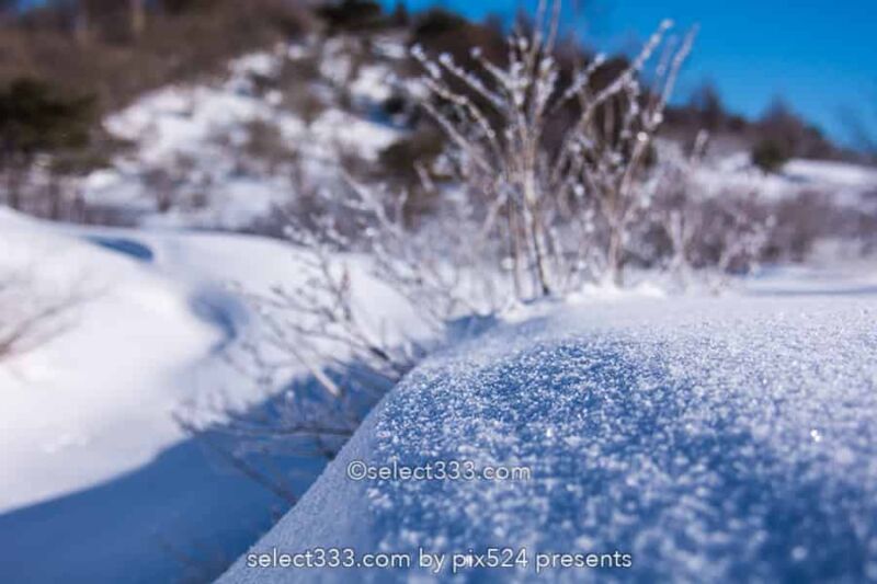 霧ヶ峰ビーナスライン雪景色と雪原の撮影！冬の絶景ドライブ！霧ヶ峰の冬景色の被写体