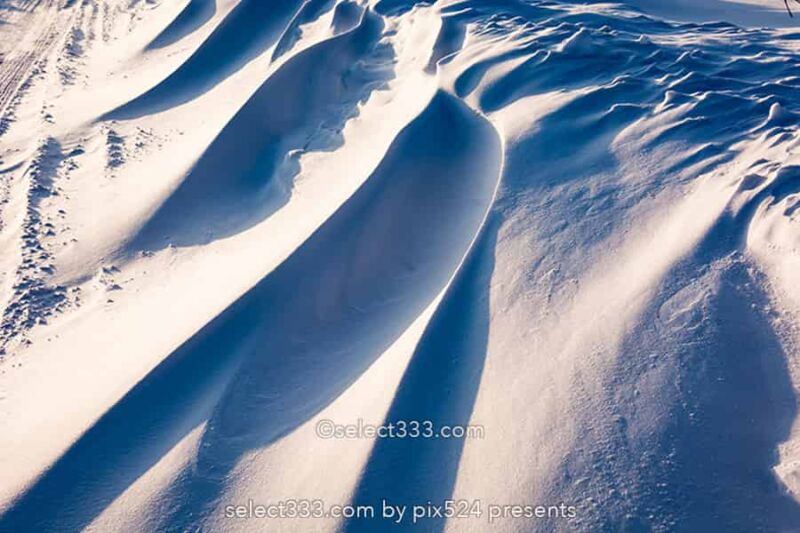 霧ヶ峰ビーナスライン雪景色と雪原の撮影！冬の絶景ドライブ！霧ヶ峰の冬景色の被写体