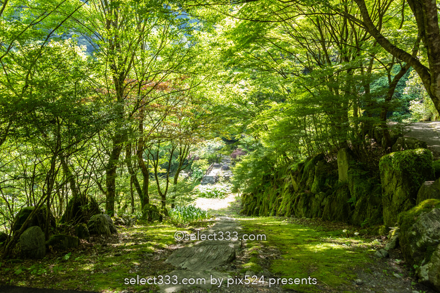 安居渓谷の風景と水晶淵！仁淀ブルーの安居川のほとりを散策！高知県の景勝地
