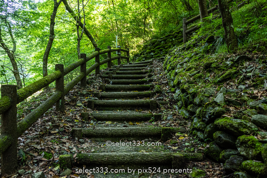 安居渓谷の風景と水晶淵！仁淀ブルーの安居川のほとりを散策！高知県の景勝地