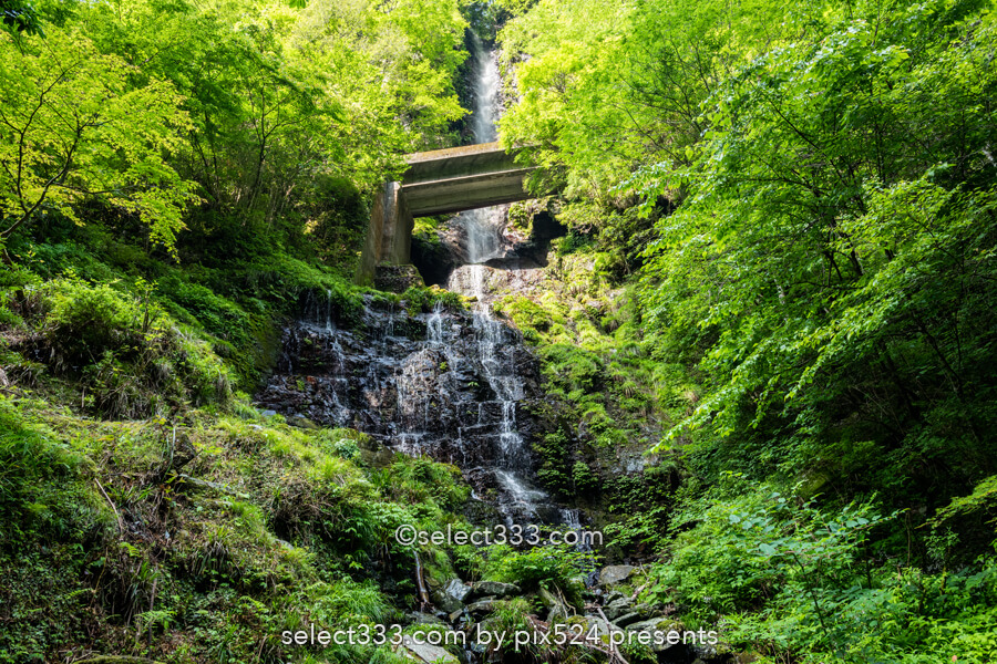 安居渓谷の風景と水晶淵！仁淀ブルーの安居川のほとりを散策！高知県の景勝地