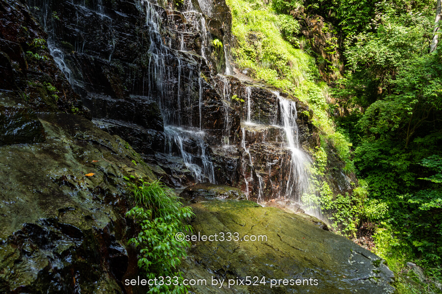 安居渓谷の風景と水晶淵！仁淀ブルーの安居川のほとりを散策！高知県の景勝地