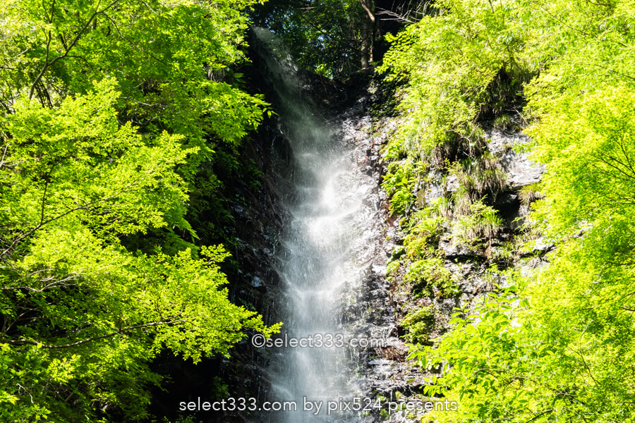 安居渓谷の風景と水晶淵！仁淀ブルーの安居川のほとりを散策！高知県の景勝地
