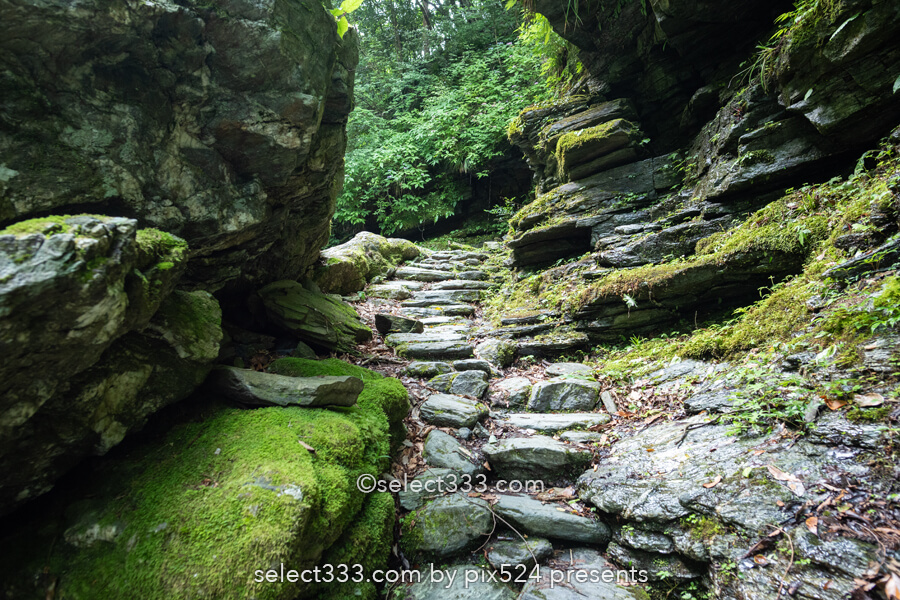 安居渓谷の風景と水晶淵！仁淀ブルーの安居川のほとりを散策！高知県の景勝地
