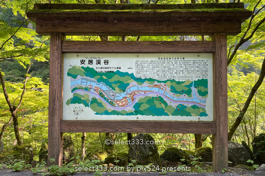 安居渓谷の風景と水晶淵！仁淀ブルーの安居川のほとりを散策！高知県の景勝地