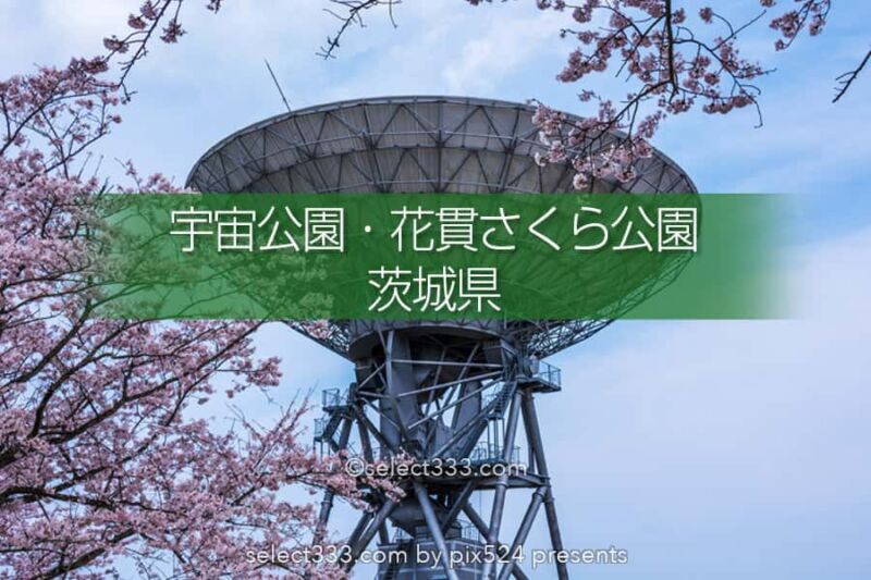 さくら宇宙公園 花貫さくら公園 高萩エリアの満開の桜撮影 茨城県