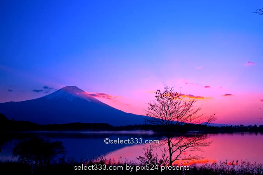 田貫湖の富士山と朝日！逆さ富士・ダイヤモンド富士の景勝地！朝焼けの絶景撮影地