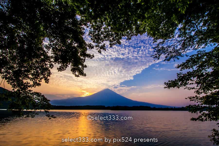田貫湖の富士山と朝日！逆さ富士・ダイヤモンド富士の景勝地！朝焼けの絶景撮影地