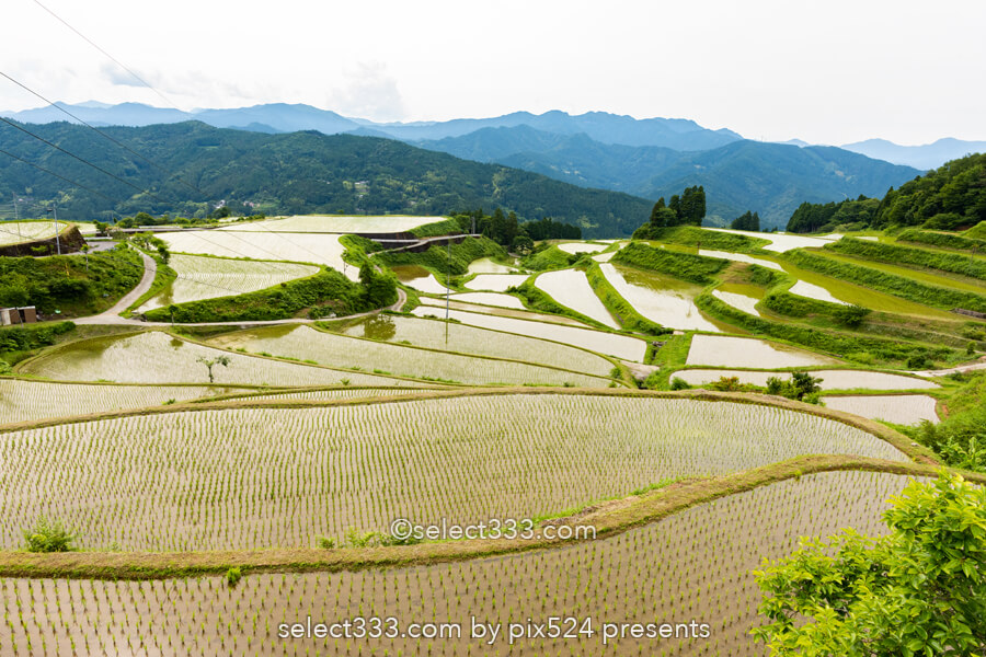 里山の原風景 山懐に広がる美しい棚田【土佐柴刈りの里】の風景！高知県の山間の美風景