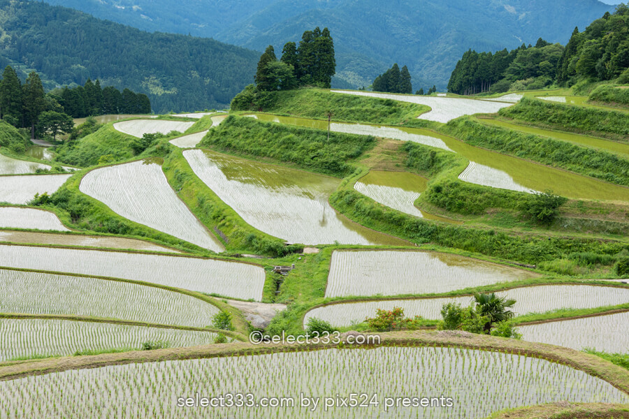 里山の原風景 山懐に広がる美しい棚田【土佐柴刈りの里】の風景！高知県の山間の美風景