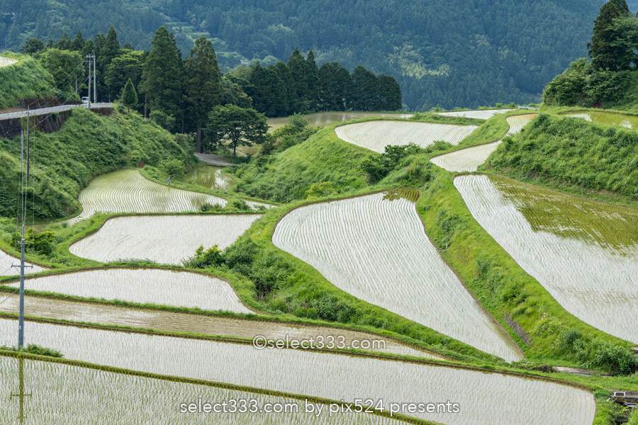 里山の原風景 山懐に広がる美しい棚田【土佐柴刈りの里】の風景！高知県の山間の美風景