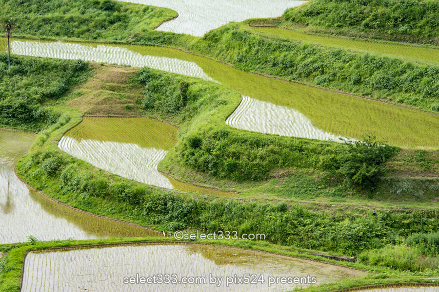 里山の原風景 山懐に広がる美しい棚田【土佐柴刈りの里】の風景！高知県の山間の美風景