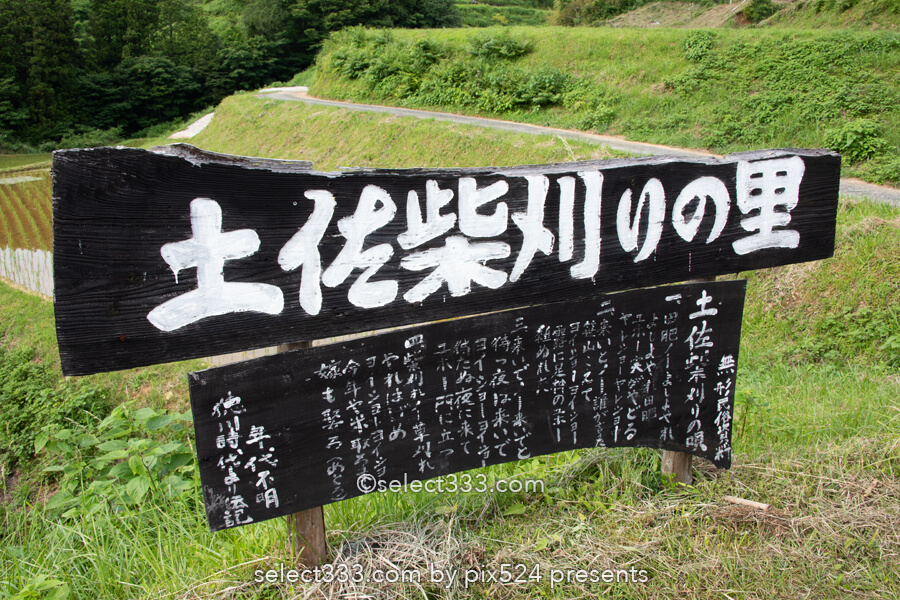 里山の原風景 山懐に広がる美しい棚田【土佐柴刈りの里】の風景！高知県の山間の美風景