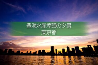 豊海水産埠頭の夕焼・夜景の撮影！都心のビル群と東京湾の眺望！東京の水辺撮影地