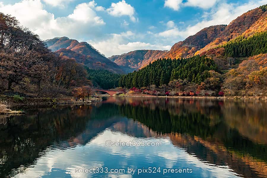 碓氷湖の秋の風景！夕焼け空が美しい安中の紅葉撮影スポット！群馬県の紅葉撮影地
