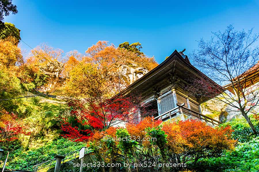 山寺の紅葉の撮影!立石寺の大イチョウの黄葉と山寺の秋の風景!山形県の紅葉スポット