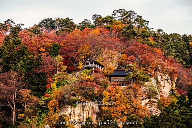 山寺の紅葉の撮影！立石寺の大イチョウの黄葉と山寺の秋の風景！山形県の紅葉スポット