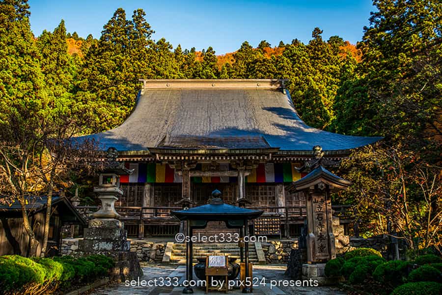 山寺の紅葉の撮影!立石寺の大イチョウの黄葉と山寺の秋の風景!山形県の紅葉スポット