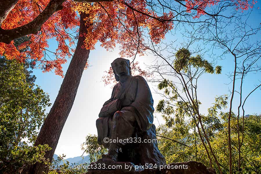 山寺の紅葉の撮影!立石寺の大イチョウの黄葉と山寺の秋の風景!山形県の紅葉スポット