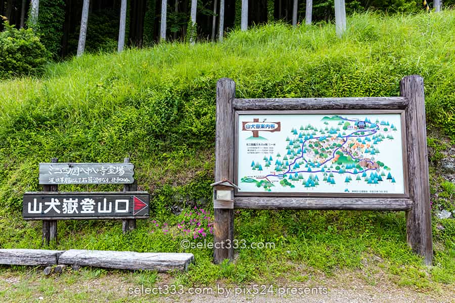 山犬嶽の苔の名所：もののけの世界を感じる苔に覆われた癒し空間！徳島県の癒しスポット