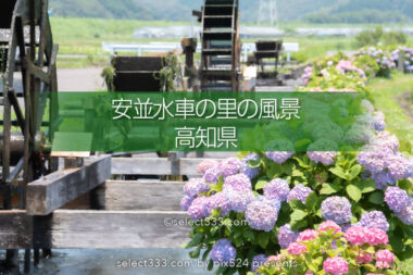 安並水車の里（四ケ村溝の水車）紫陽花と水車ののどかな風景！四万十市の撮影スポット