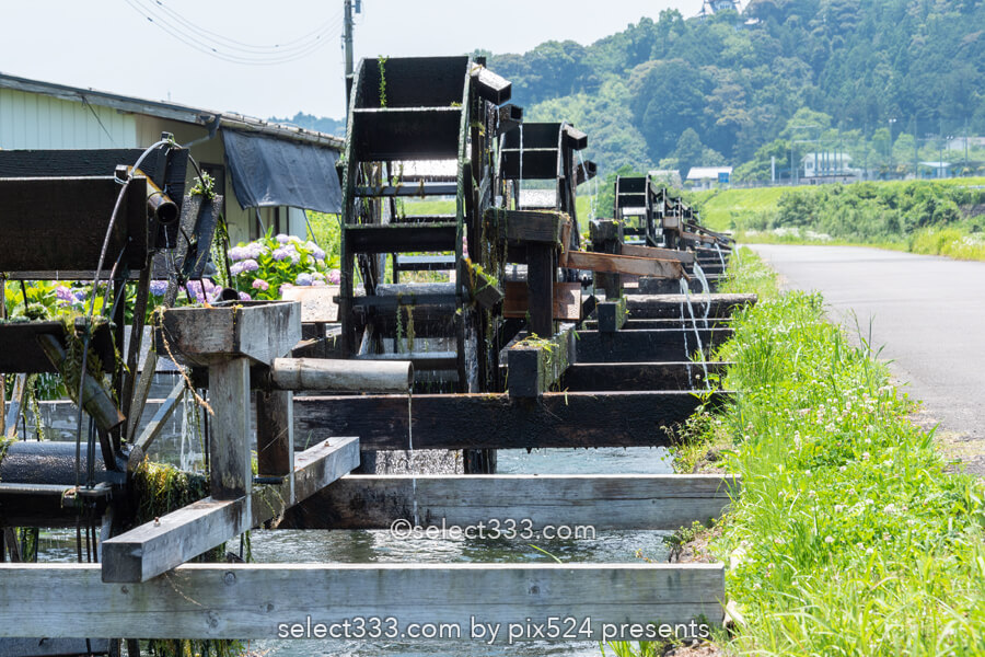 安並水車の里(四ケ村溝の水車)紫陽花と水車ののどかな風景!四万十市の撮影スポット