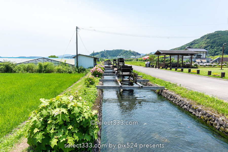 安並水車の里(四ケ村溝の水車)紫陽花と水車ののどかな風景!四万十市の撮影スポット