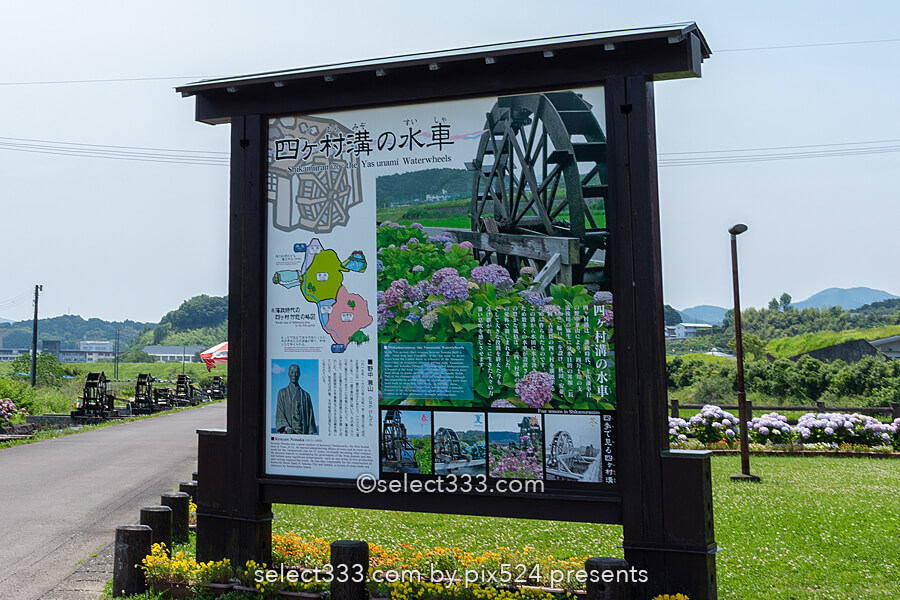 安並水車の里(四ケ村溝の水車)紫陽花と水車ののどかな風景!四万十市の撮影スポット