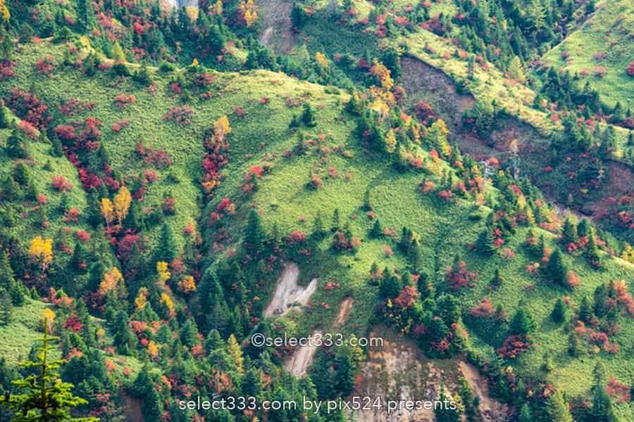 横手山【のぞき】志賀高原エリア！絶景の紅葉と雲海の撮影地！日本離れした山の紅葉風景